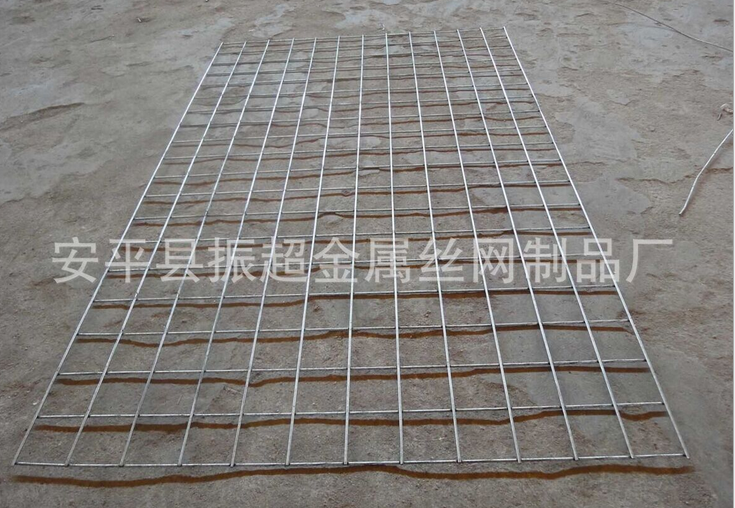 苗床電焊網(wǎng) 安平縣振超金屬絲網(wǎng)制品廠-m.chinajsh88.com