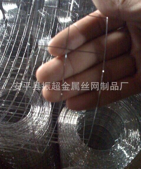 316不銹鋼電焊網 電焊網-m.chinajsh88.com