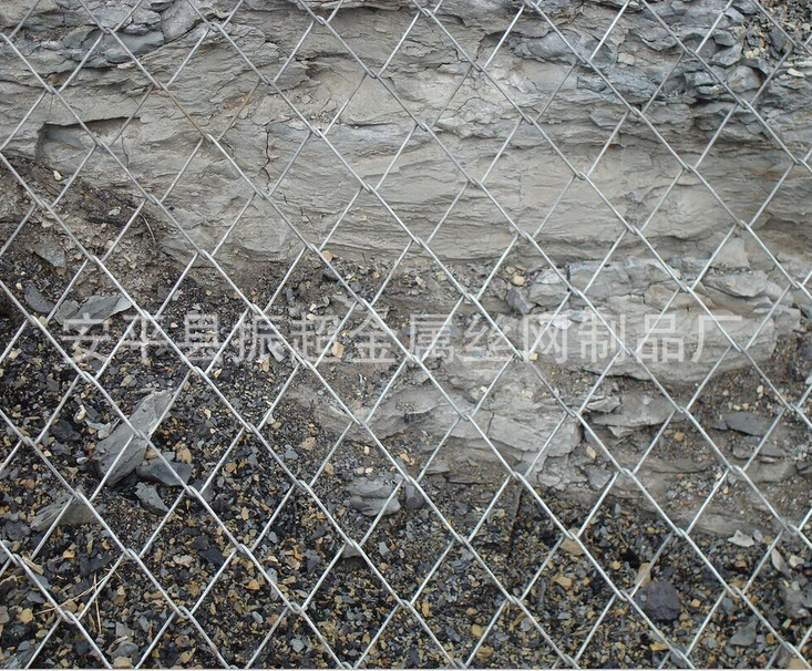 坡體防護勾花網 安平縣振超金屬絲網制品廠-m.chinajsh88.com