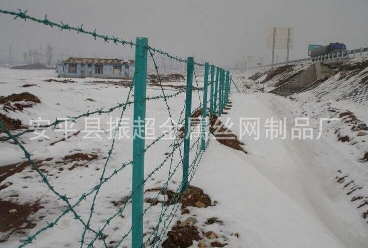 有刺鐵絲圍網(wǎng)m.chinajsh88.com