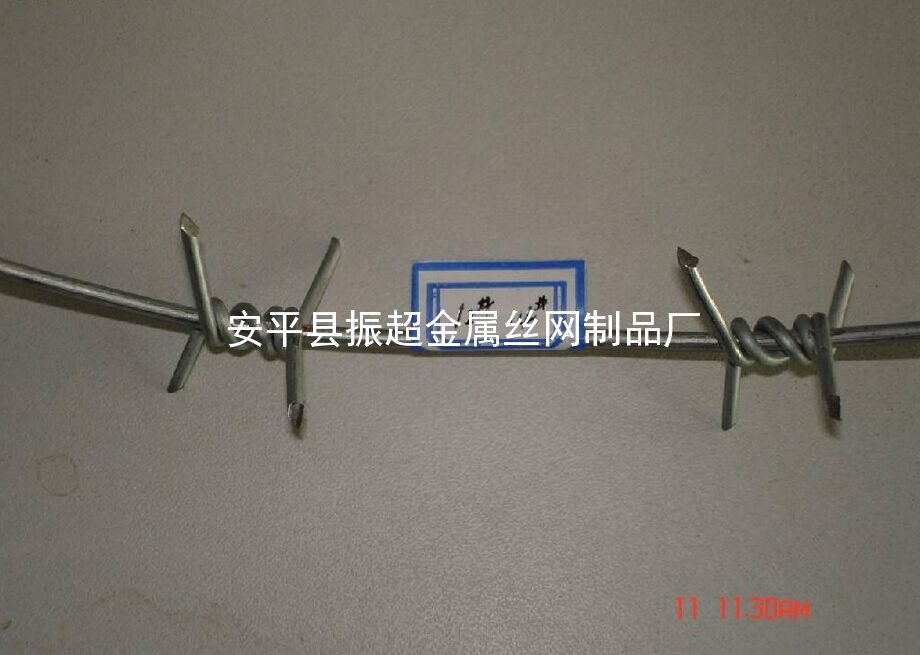 單股刺繩-安平縣振超金屬絲網(wǎng)制品廠m.chinajsh88.com
