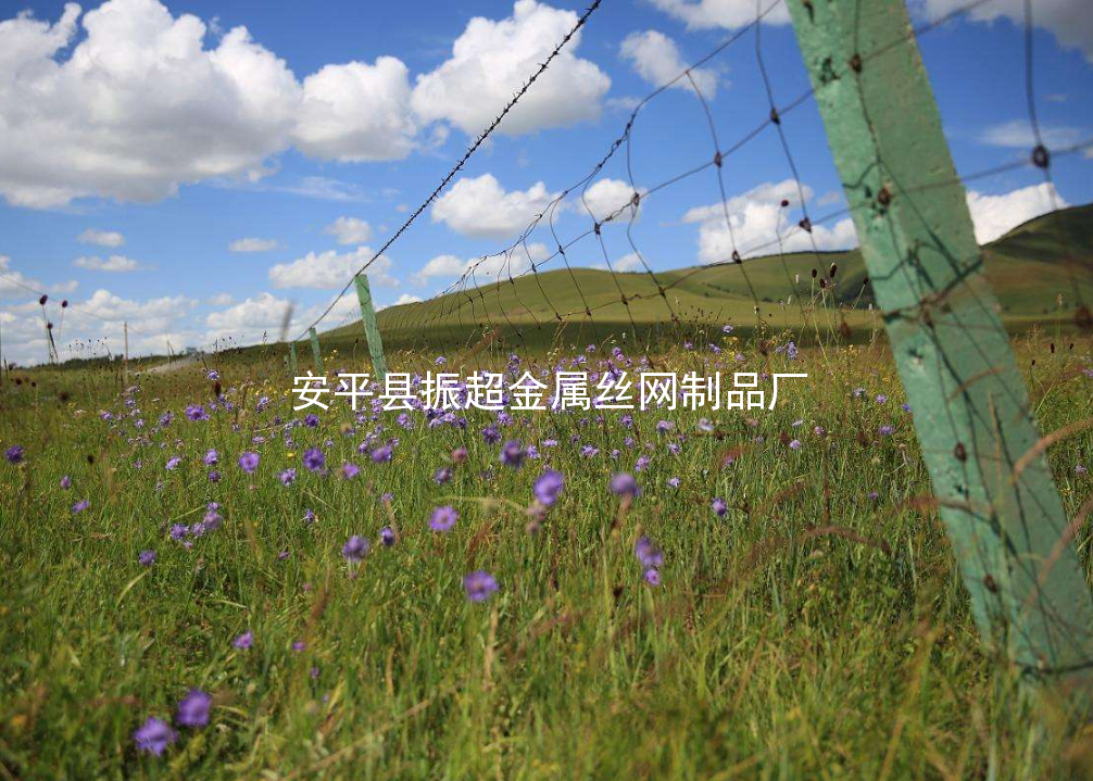草原鐵絲網(wǎng)圍欄-m.chinajsh88.com