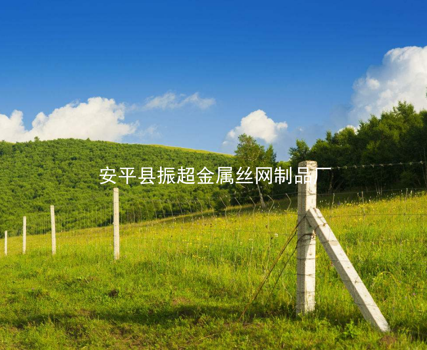 草原鐵絲網(wǎng)圍欄-m.chinajsh88.com