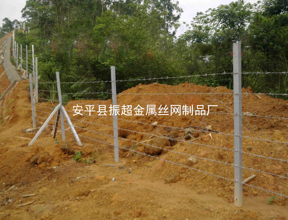 帶刺鐵絲網(wǎng)m.chinajsh88.com