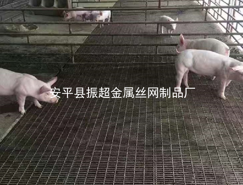 鐵絲網(wǎng)保育床，鐵絲網(wǎng)產(chǎn)床-m.chinajsh88.com