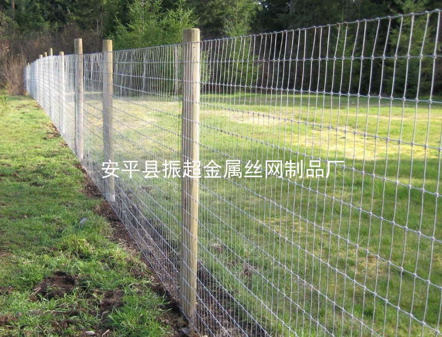 草原鐵絲網(wǎng)-m.chinajsh88.com