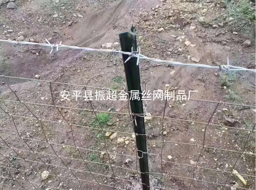 圈羊鐵絲網,圈牛鐵絲網-m.chinajsh88.com