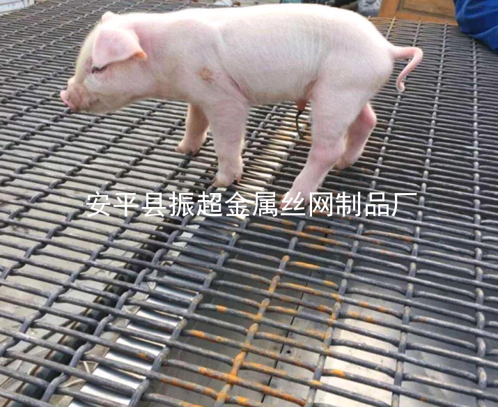 豬床鐵絲網-m.chinajsh88.com